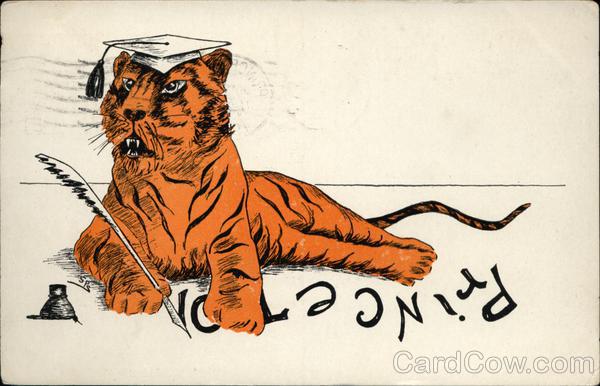 Princeton University Tiger Universities