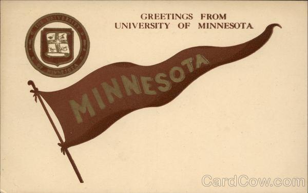 University of Minnesota Pennant and Seal School Pennants