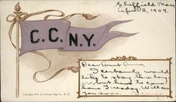 City College of New York Pennant City College of New York Pennant