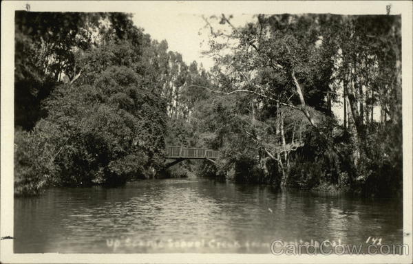 Rare Looking Up Soquel Creek 5941 Capitola California