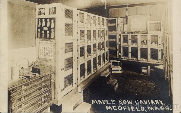 Maple Row Caviary Medfield Massachusetts