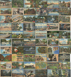 Lot of 100+ Vintage Linen Florida Postcards - St. Pete, Miami, St. Augustine, Springs Postcard