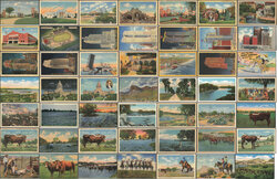 Lot of 97 Vintage Texas Postcards - Austin Dallas San Antonio Western Linen Postcard