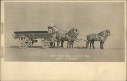 Stock #523804 Thumbnail