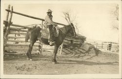 Cowboy on Horseback, Holstered Revolver Gun Belt Postcard