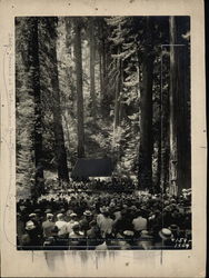 Rare Original Art: Concert In Bohemian Grove Original Photograph