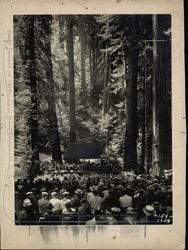 Rare Original Art: Concert In Bohemian Grove Monte Rio, CA Original Photograph Original Photograph Original Photograph