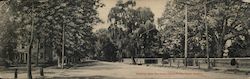 Broadway, showing Old Oak, Friends Cemetery Salem, NJ Large Format Postcard Large Format Postcard Large Format Postcard