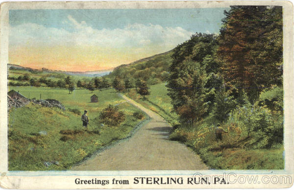 Greetings From Sterling Run Pennsylvania