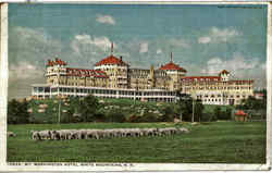 Mt. Washington Hotel Postcard