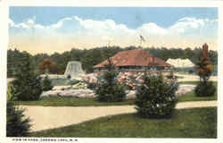 View In Park Postcard