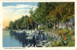 Piney Ridge Postcard