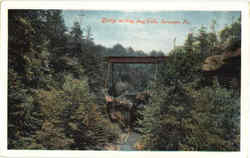 Bridge At Nay Aug Falls Postcard