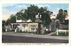 St. Petersburg Alligator Farm And Zoo Postcard