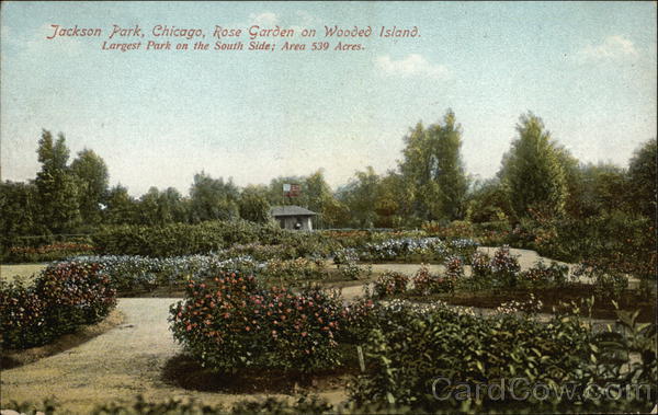 Jackson Park, Rose Garden on Wooded Island Chicago Illinois