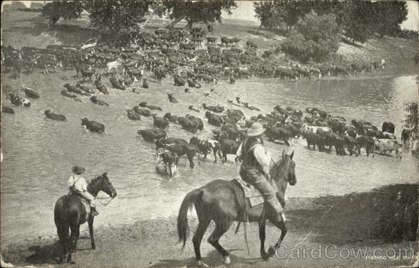 Fording Milk River Montana