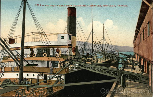Loading Wheat with automatic conveyers. Portland Oregon