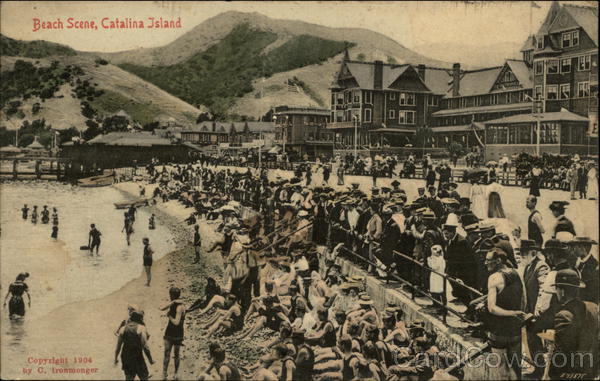 Beach Scene Santa Catalina Island California