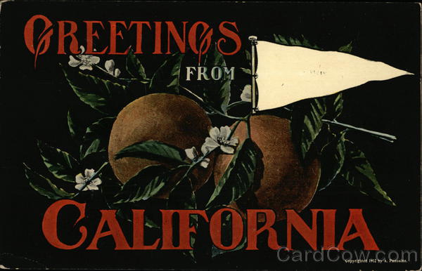 Illustration - Oranges, General Greetings California