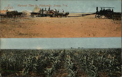 Harvest Time in Panhandle Soncy, TX Postcard Postcard Postcard