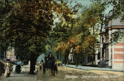 Sherbrooke Street, West Postcard
