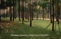 The Grove, Pinehurst Park Postcard