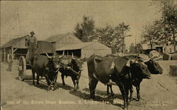One of the Brown Stone Quarries Postcard