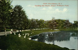 Roger Williams Park - Feeding the Ducks Postcard