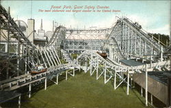 Forest Park, Giant Safety Coaster. Postcard