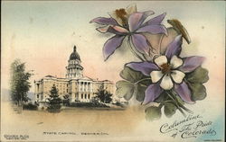Columbine, the pride of Colorado Denver, CO Postcard Postcard Postcard