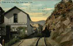 Forks of the Creek, Clear Creek Canon Postcard