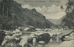 Sabino Canyon, Catalina Mountains Postcard