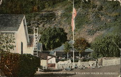 Baldwin Home, Molokai Kalawao, HI Postcard Postcard Postcard