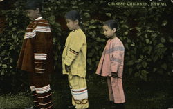 Chinese Children Hawaii Postcard Postcard Postcard