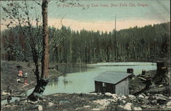A Fish Hatchery on Teal Creek Postcard