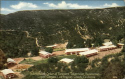 Independent Order of Foresters, Tubercular Sanatorium- Lopez Canyon Los Angeles, CA Postcard Postcard Postcard