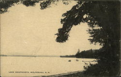 Lake Wentworth Wolfeboro, NH Postcard Postcard Postcard
