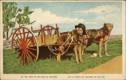 Dog Cart - On the Road to Ste-Anne De Beaupre Postcard