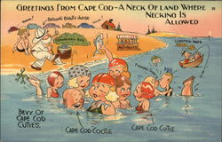 Greetings from Cape Cod- A Neck of Land where Necking is Allowed Massachusetts Postcard Postcard Postcard