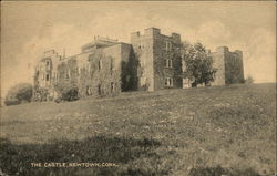 The Castle and Grounds Newtown, CT Postcard Postcard Postcard