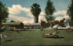 Citrus Grove Trailer Park Postcard