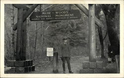 Entrance to Muir Woods Postcard
