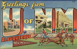 Greeting from U of N.M. Albequerque New Mexico Postcard
