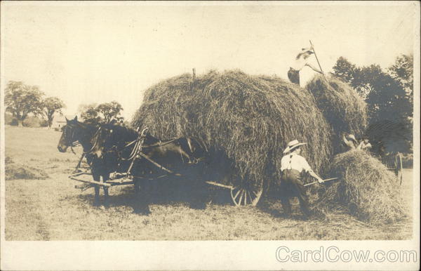 Harvesting the Hay Farming
