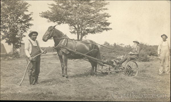 Farmers with a Horse Drawn Mower Farming