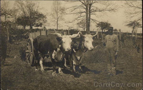 Farmer and Oxen with a Cart Cows & Cattle