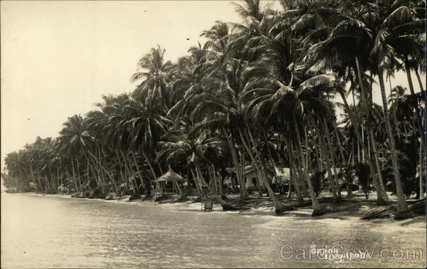 Palm-Lined Coast Bedok Singapore Southeast Asia