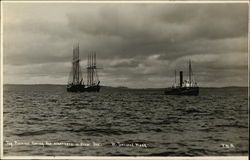 Tug Pioneer Towing Two Schooners in from Sea Postcard