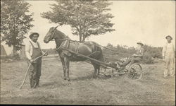 Farmers with a Horse Drawn Mower Farmers with a Horse Drawn Mower