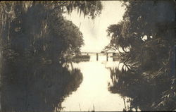 Scenic Water with Trees and Bridge, Hawks Park Postcard